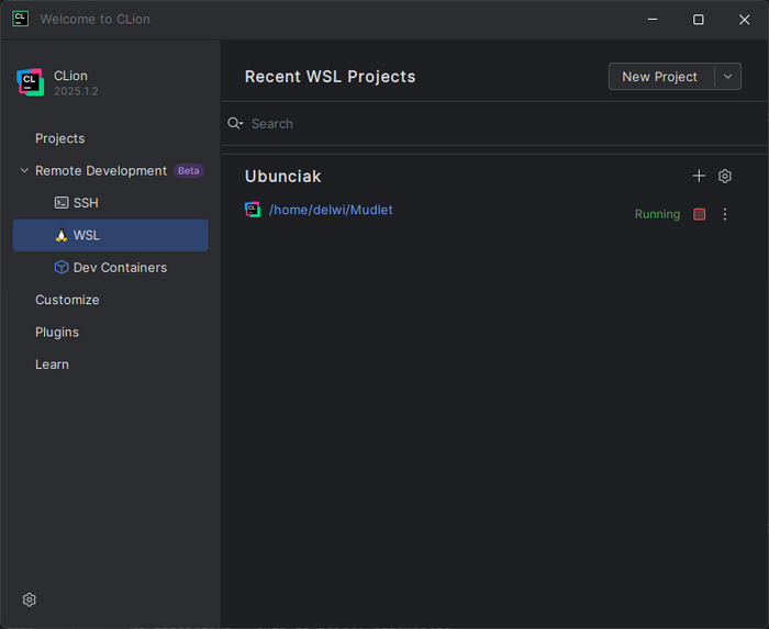 Example project setup in CLion (WSL)